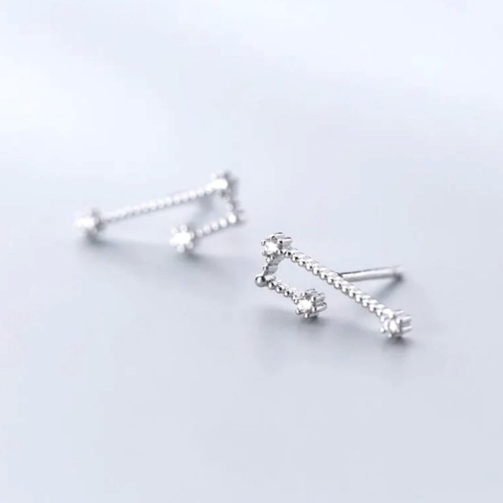 Taurus Constellation Star Galaxy Space Astrology Zodiac Sterling Silver Earring